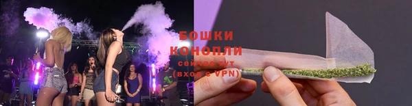 гидра Нефтекумск