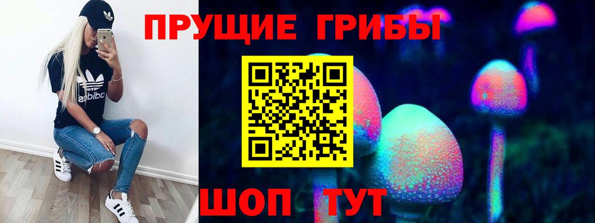 Псилоцибиновые грибы GOLDEN TEACHER Мурманск