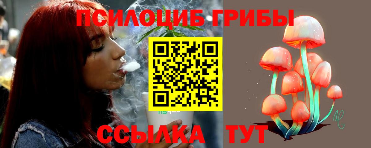 Псилоцибиновые грибы Cubensis  Вход с VPN  Мурманск 